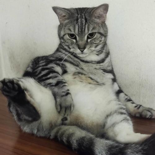 สมาชิกหมายเลข 6953052