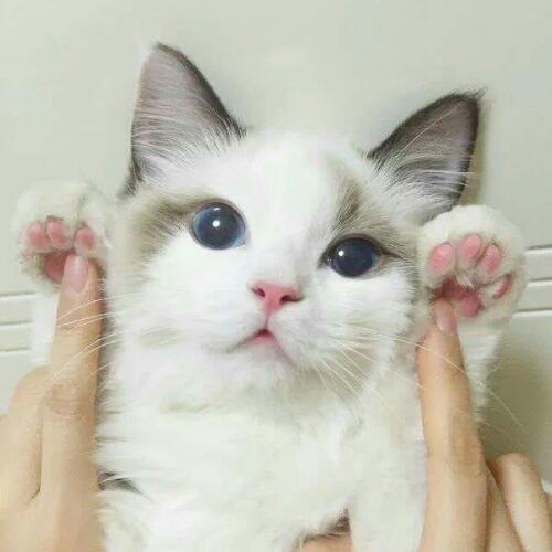 สมาชิกหมายเลข 4577435