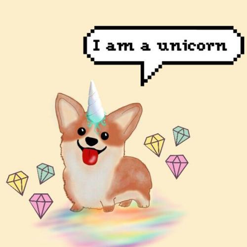 สมาชิกหมายเลข 4872654