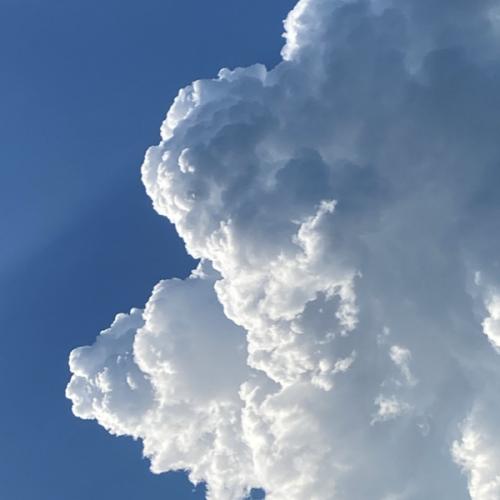 สมาชิกหมายเลข 3625326