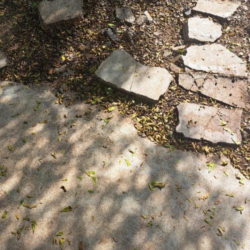 สมาชิกหมายเลข 8009698