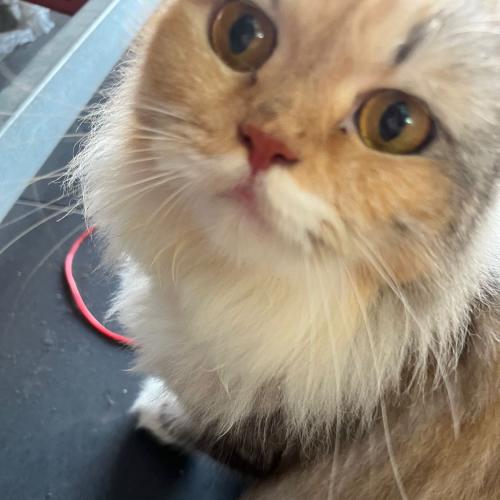 สมาชิกหมายเลข 8670352