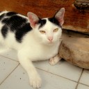 สมาชิกหมายเลข 3638151