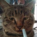 สมาชิกหมายเลข 4100880