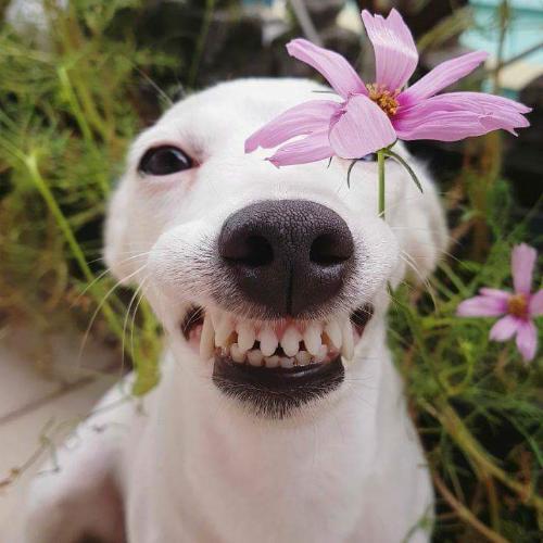 สมาชิกหมายเลข 3244684