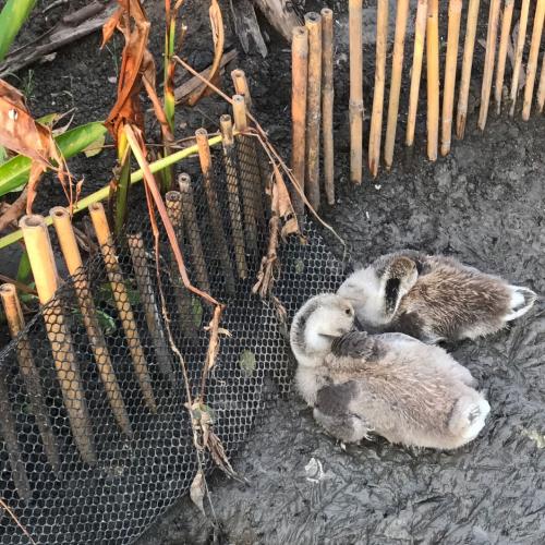 สมาชิกหมายเลข 3739628