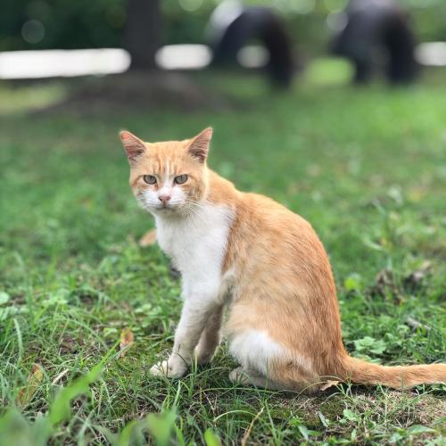 สมาชิกหมายเลข 4873066