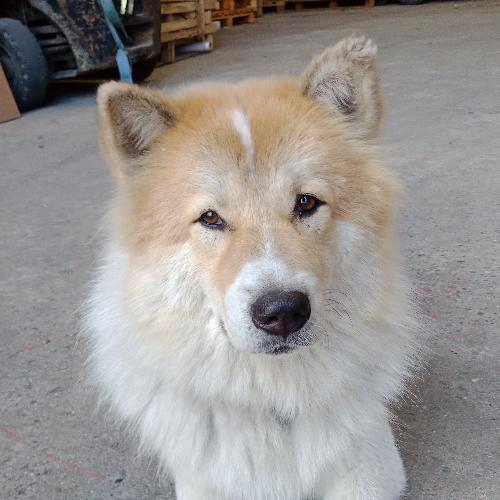 สมาชิกหมายเลข 3034793