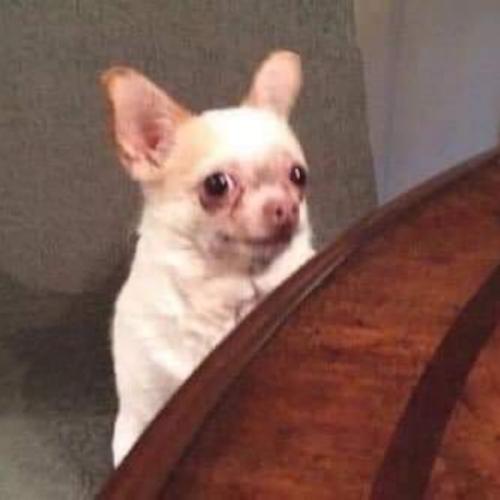 สมาชิกหมายเลข 5702310