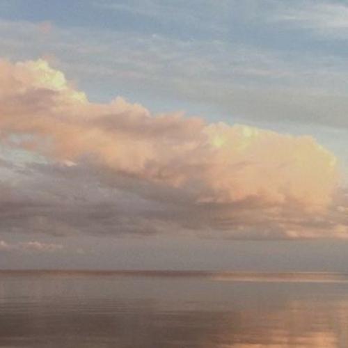 สมาชิกหมายเลข 5702652