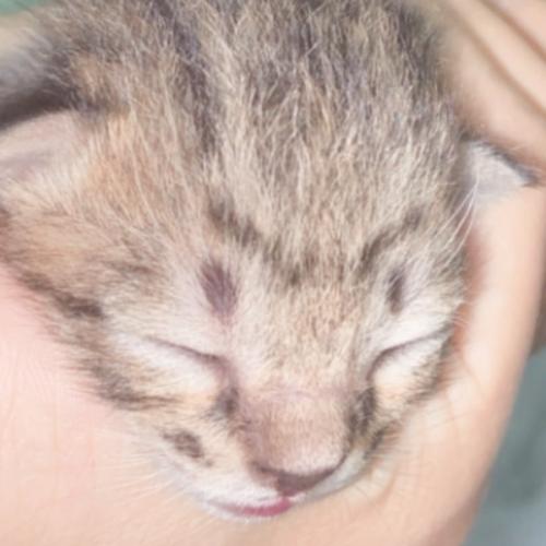 สมาชิกหมายเลข 5226760