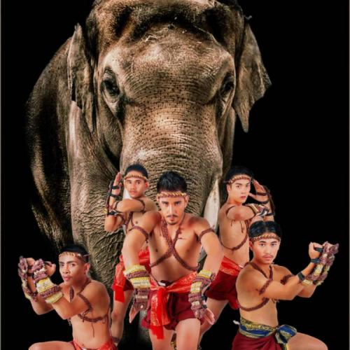 สมาชิกหมายเลข 6954359