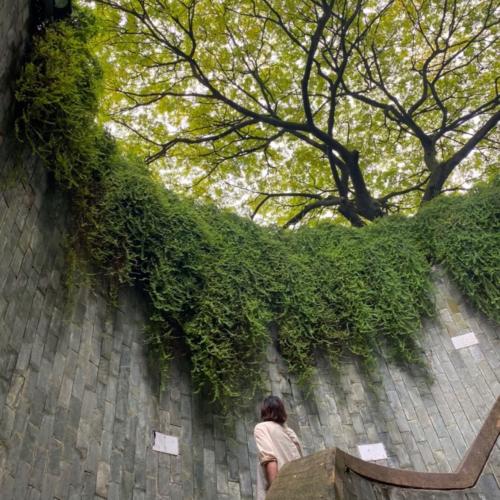 สมาชิกหมายเลข 3521154