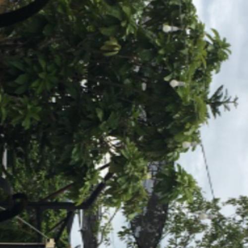 สมาชิกหมายเลข 6008626