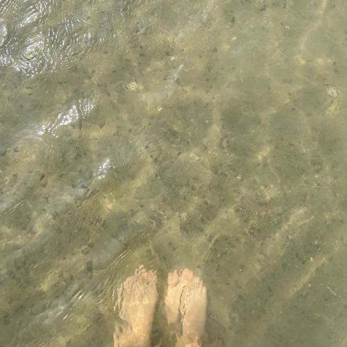 สมาชิกหมายเลข 7717924