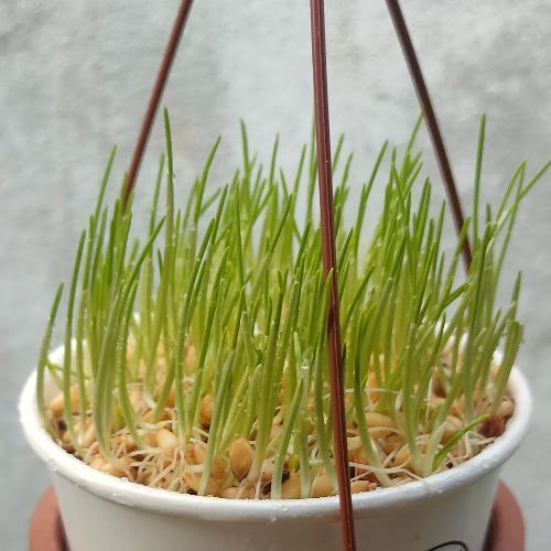 สมาชิกหมายเลข 7673519