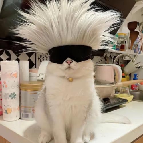 สมาชิกหมายเลข 7784100