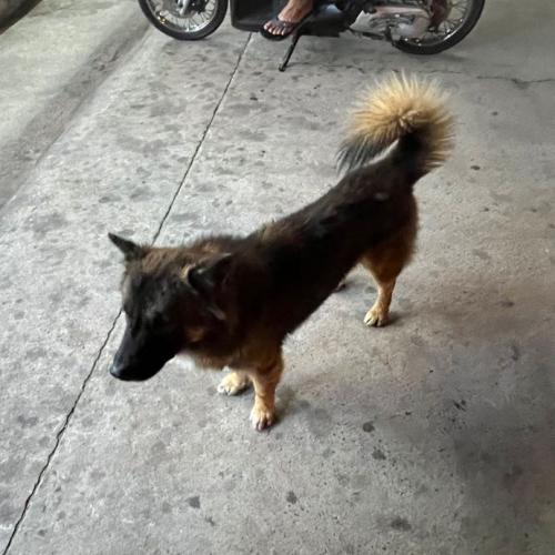 สมาชิกหมายเลข 8437090