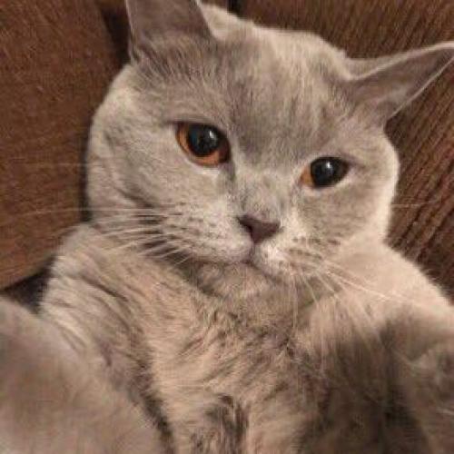 สมาชิกหมายเลข 2124315