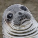 สมาชิกหมายเลข 3804232