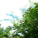 สมาชิกหมายเลข 3923280