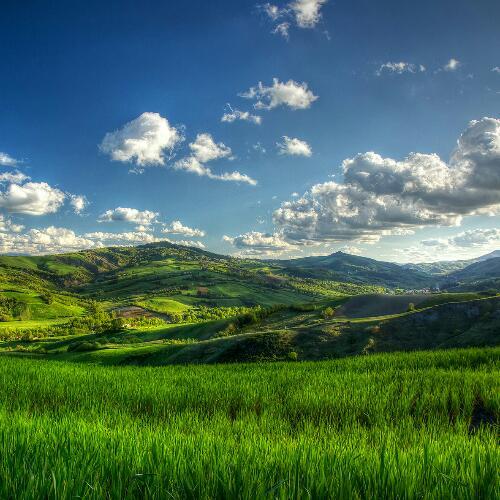 สมาชิกหมายเลข 4866998