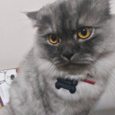 สมาชิกหมายเลข 1974967