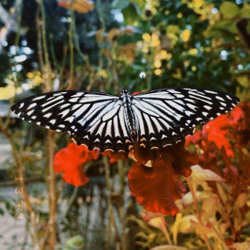 สมาชิกหมายเลข 3831975