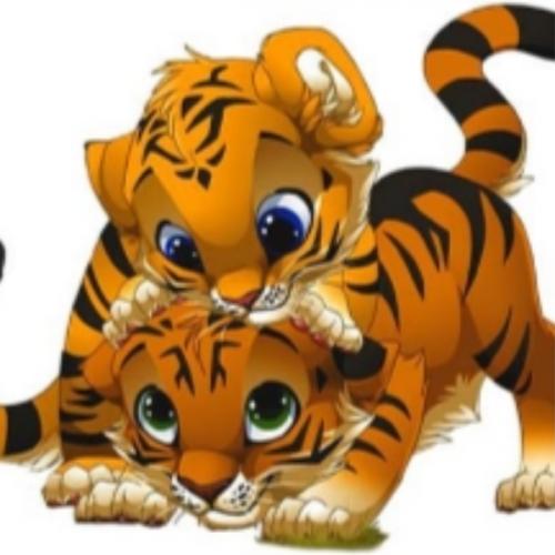 สมาชิกหมายเลข 6955858