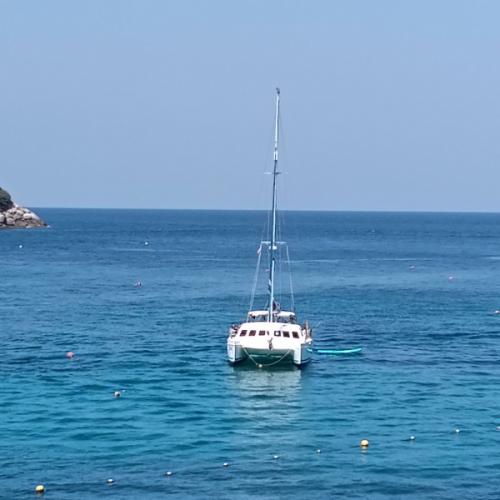 สมาชิกหมายเลข 2294494