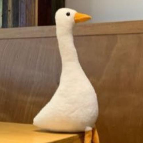 สมาชิกหมายเลข 8649399