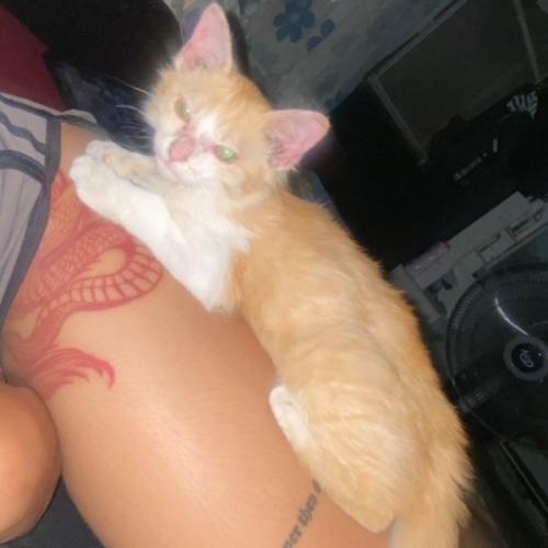 สมาชิกหมายเลข 8670576