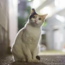 ส่องกระจกค่ะ!