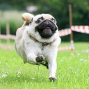 สมาชิกหมายเลข 3639083