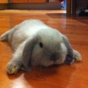 สมาชิกหมายเลข 3639136