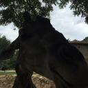 สมาชิกหมายเลข 3553638