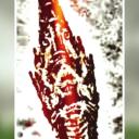 สมาชิกหมายเลข 4101468