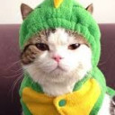 สมาชิกหมายเลข 3791315