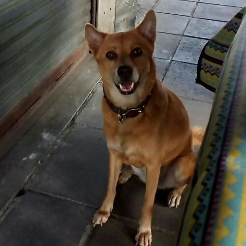 สมาชิกหมายเลข 4534314