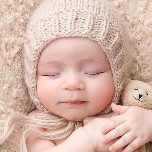 สมาชิกหมายเลข 2413109