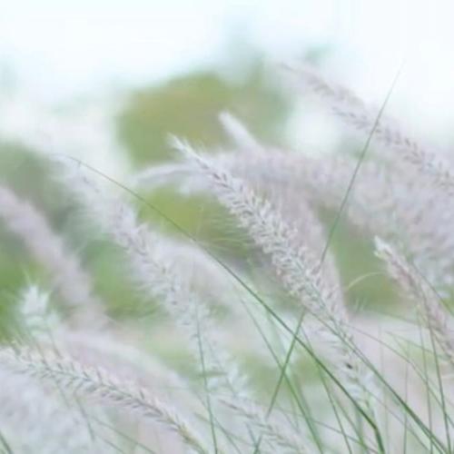 สมาชิกหมายเลข 4873406