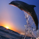 สมาชิกหมายเลข 5097094