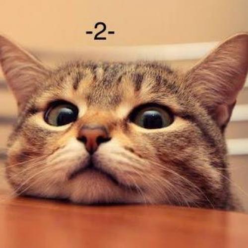 สมาชิกหมายเลข 5191298