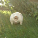 สมาชิกหมายเลข 5265125