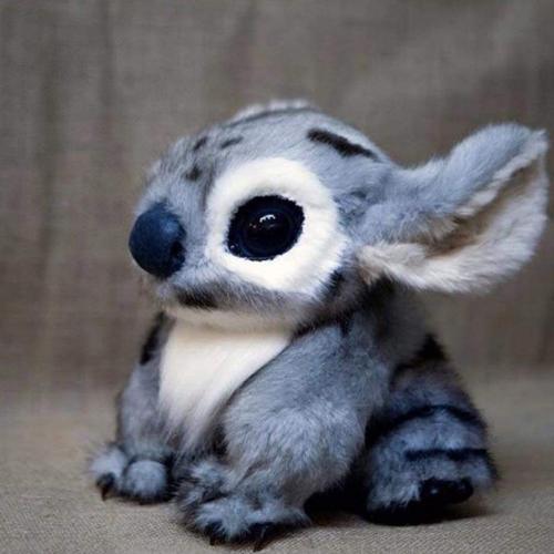 สมาชิกหมายเลข 5668550