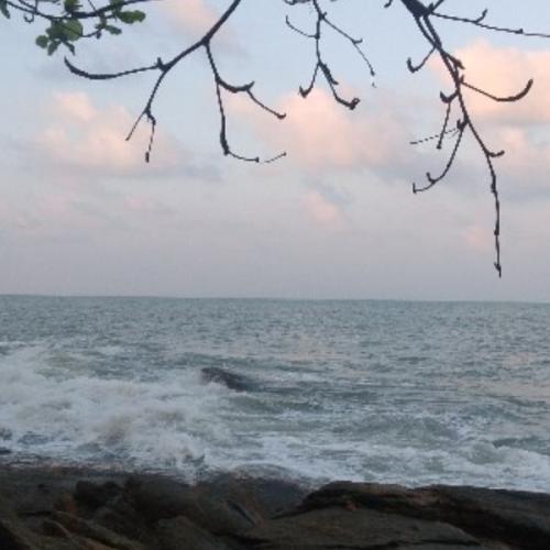 สมาชิกหมายเลข 5703888