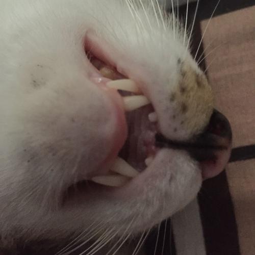 สมาชิกหมายเลข 6753641