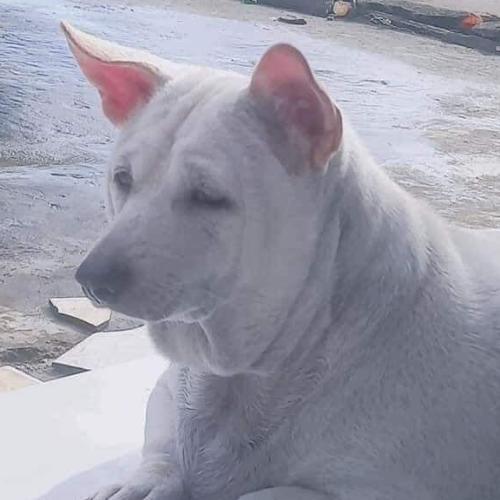 สมาชิกหมายเลข 6956185