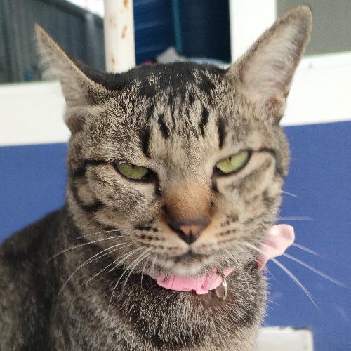 สมาชิกหมายเลข 3662762