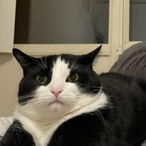 สมาชิกหมายเลข 3872195